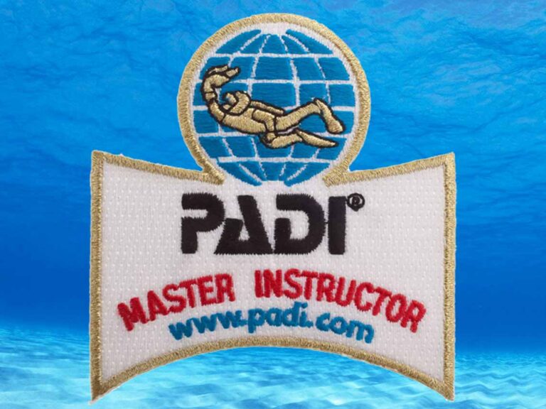 Master-instructor