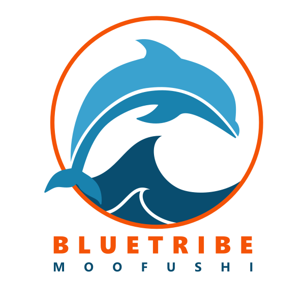 new bluetribe logo